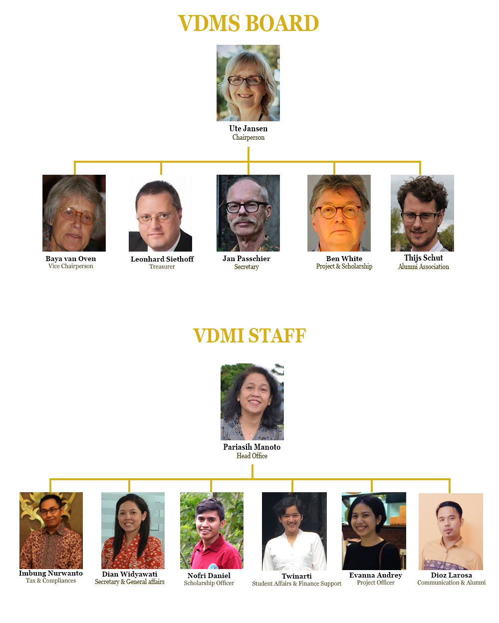 VDMS & VDMI Board update